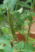 DSC 5582