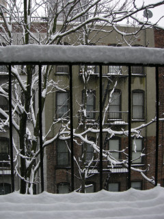 Winter out our window