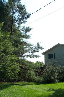 dcp_0444012.JPG