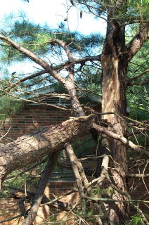 dcp_0449013.JPG