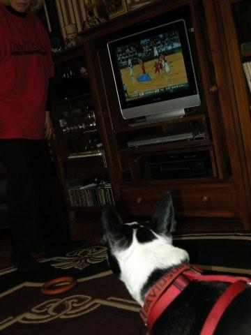 Tux for Davidson