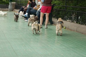 At dog park with Kurt and Erin