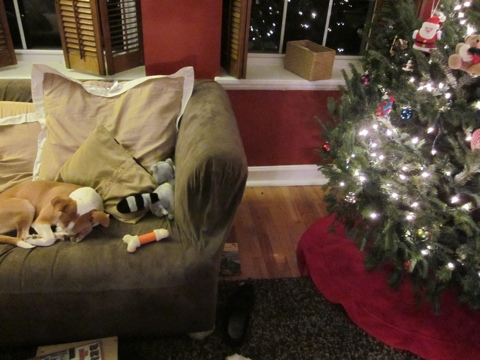 Resting up for the season