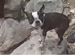 tiny_boston tiny_boston